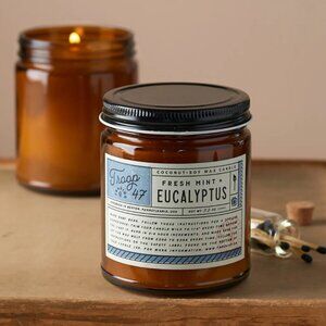 Troop 47 Eucalyptus Mint Soy Candle - New